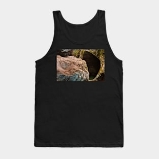 Gobble Rock Cave Tank Top